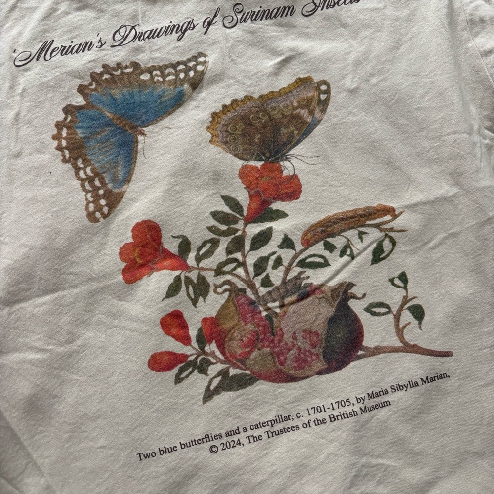 3 for $30 // British Museum Merian's Drawings Graphic Tee